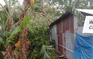 Warung Salah Satu Warga di Desa Patani Terkena Pohon Tumbang